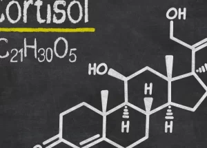 Comment réduire son taux de cortisol : stratégies pour une vie plus sereine