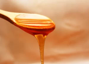 Quelles sont les vertus du miel de sapin ?